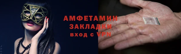 шишки Козельск