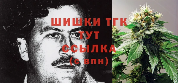 дурь Карпинск