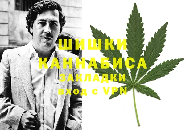 шишки Козельск