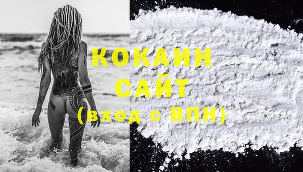 шишки Козельск