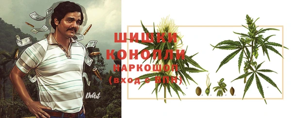 дурь Карпинск