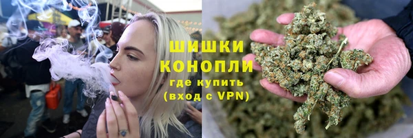 шишки Козельск